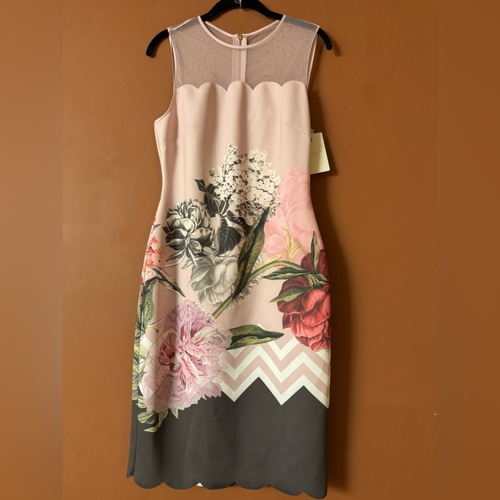 NWT TED BAKER  Arionah Palace Gardens Scallop Dusty Pink dress size 3, size US 8 - Picture 3 of 16